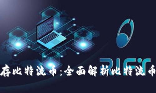 什么钱包可以存比特流币：全面解析比特流币存储解决方案