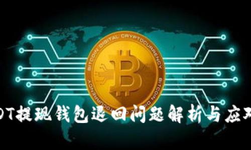 : USDT提现钱包退回问题解析与应对策略