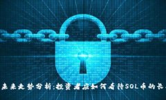 SOL币未来走势分析：投资