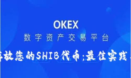 如何安全存放您的SHIB代币：最佳实践与钱包选择