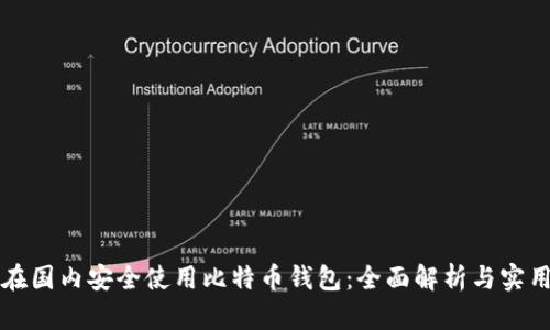 如何在国内安全使用比特币钱包：全面解析与实用指南