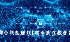 开发区块链用哪个钱包赚钱？揭示最佳投资策略