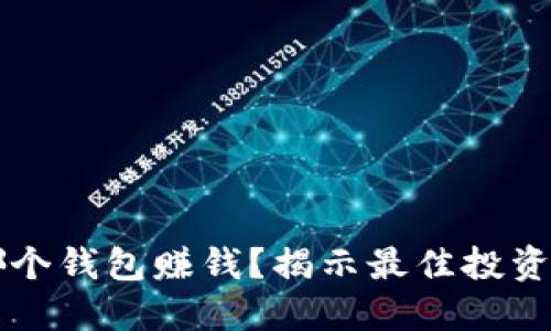 开发区块链用哪个钱包赚钱？揭示最佳投资策略与选择指南