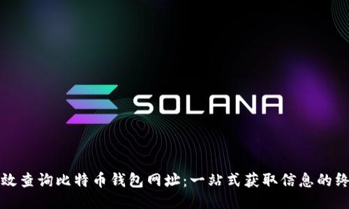 如何高效查询比特币钱包网址：一站式获取信息的终极指南