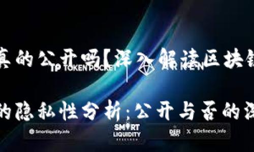 区块链钱包真的公开吗？深入解读区块链隐私与安全

区块链钱包的隐私性分析：公开与否的深度探讨