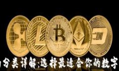 区块链钱包的分类详解：选择最适合你的数字资
