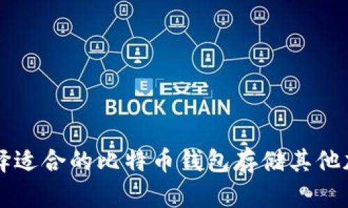 如何选择适合的比特币钱包存储其他加密货币