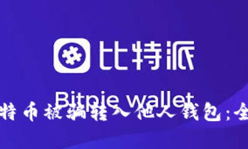 如何防止比特币被骗转入他人钱包：全面防范指南