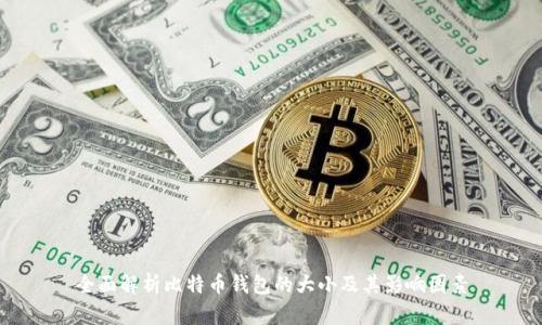 全面解析比特币钱包的大小及其影响因素